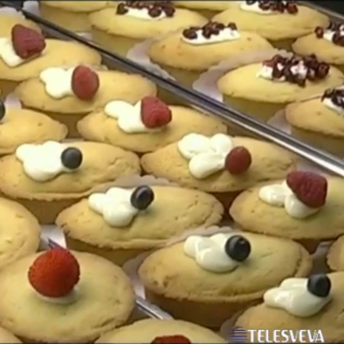 Telesveva parla del Pastrotto dell'Openlight caffè di Andria